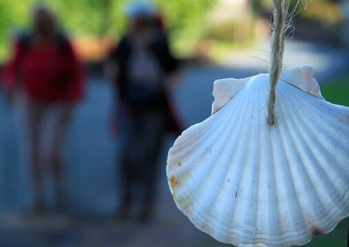 coquille chemin de saint jacques de compostelle