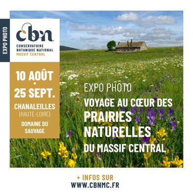 Exposition photos