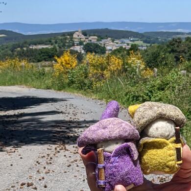 Nos Pèlerines parcourent nos plus beaux sentiers