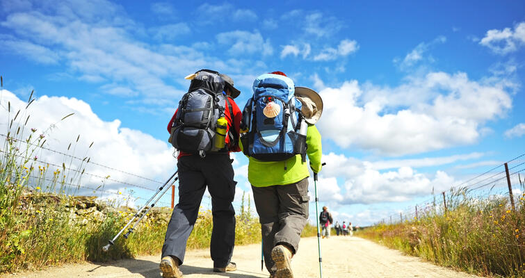 Camino Francés à pied et en minibus