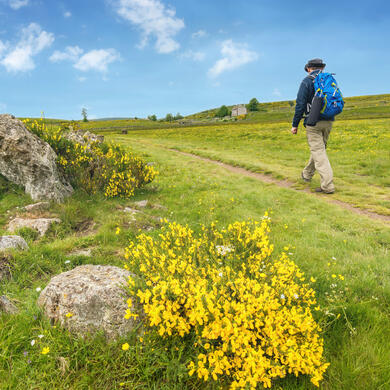 Compostelle Grand Confort : La Grange des Enfants - Conques
