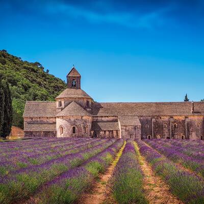 Trek - Luberon : Senteurs de Provence