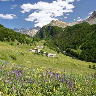  - Hautes Alpes : Le Queyras