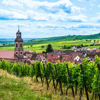Trek - Alsace et Hautes-Vosges