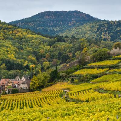 Trek - Alsace : Alsace médiévale