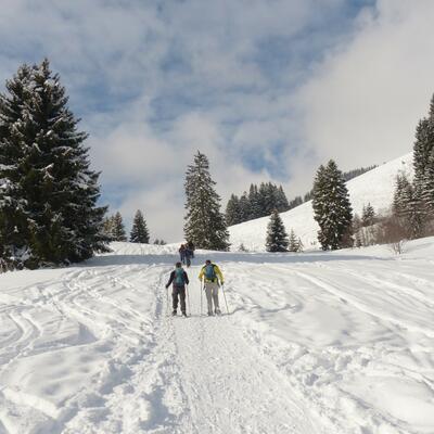 Voyage en raquette - Nouvel an et raquettes au pied du massif du Mézenc