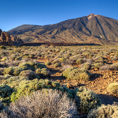 Trek - Espagne Canaries : Île de Tenerife