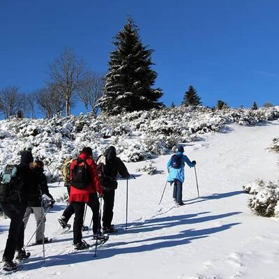 Auvergne : Les Monts du Cantal en hiver