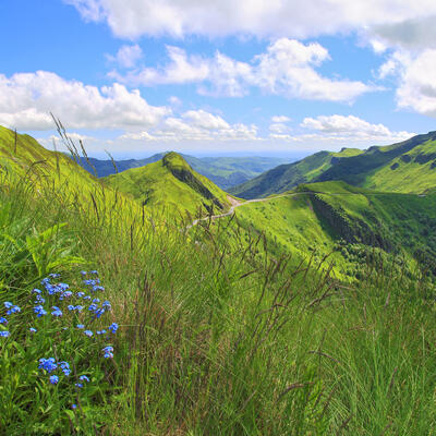 Auvergne : Les Monts du Cantal