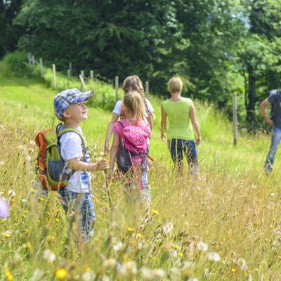 Trek - Saint Jacques de Compostelle en famille