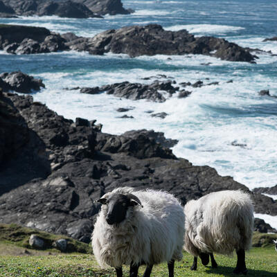 Trek - Irlande : Le Connemara et le Western Way