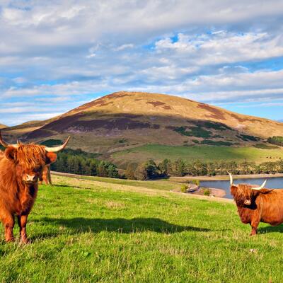 Trek - Ecosse : The West Highland Way