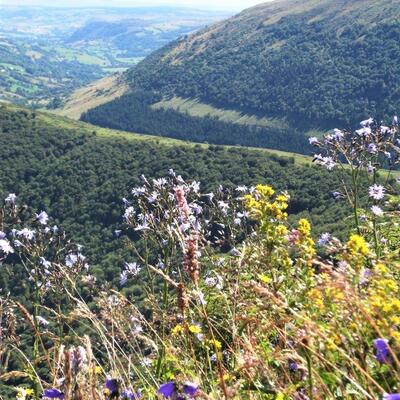 Trek - Randonnée Auvergne les Monts du Cantal en accompagné