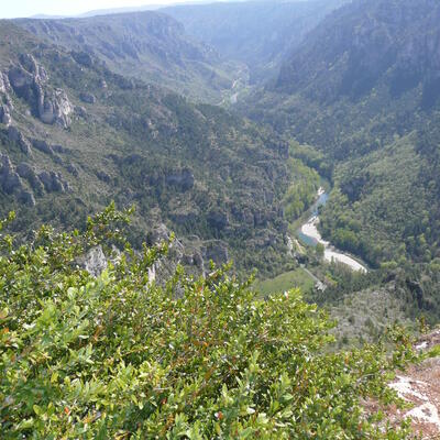 Trek - Tarn : Les Bastides Albigeoises