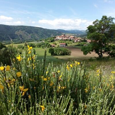 Auvergne : Vallée et Gorges de l'Allier l'intégral