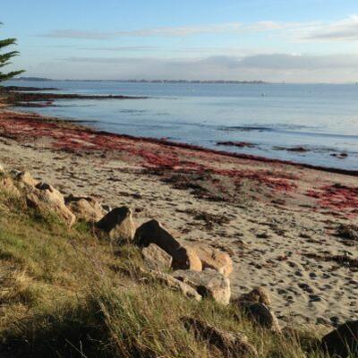 Trek - Bretagne : De Port Navalo à La Roche Bernard