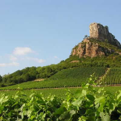 Trek - Bourgogne du Sud