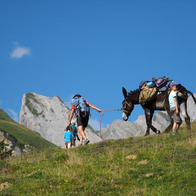 Trek - Randonnée dans le Val d\'Azun en famille avec un âne.