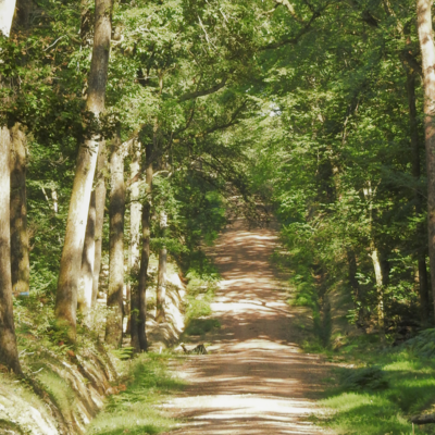 Trek - De Châteauroux à La Souterraine
