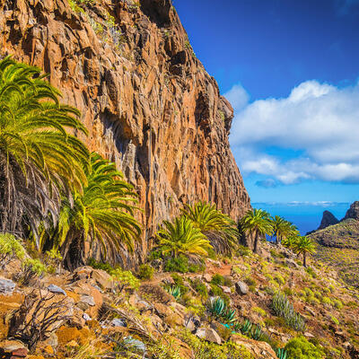 Espagne Canaries : L'île de la Gomera