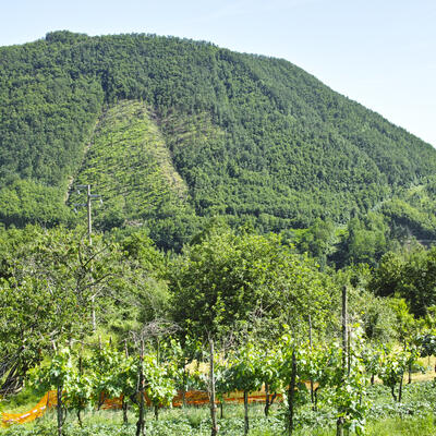 Trek - Randonnée Via Francigena de Fidenza à Aulla