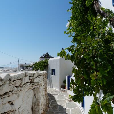 Trek - Grèce : Les Cyclades Paros,Naxos, Amorgos