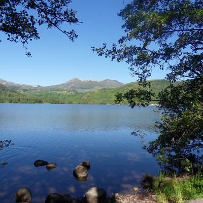 Trek - Auvergne : Massif du Sancy