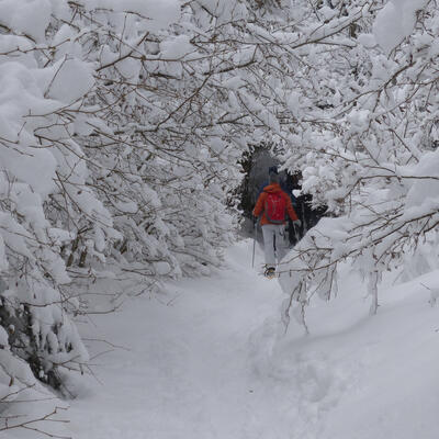 Voyage en raquette - Alpes : Vercors, neiges, raquettes et bien-être