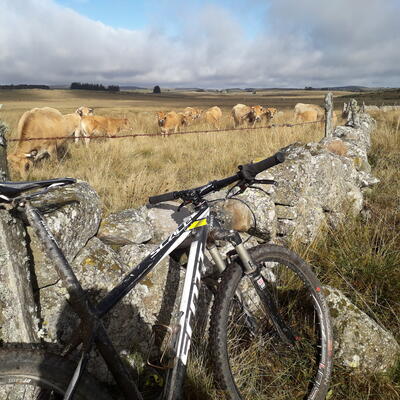 Voyage à vélo - Randonnée Vélo Aubrac et Margeride en VTT à Assistance Electrique