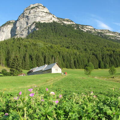 Trek - France : Alpes : Le Grand Tour de Chartreuse