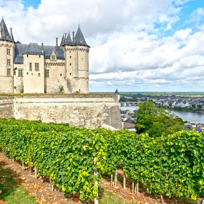 Trek - Anjou : Douceur angevine, de Loire en coteaux