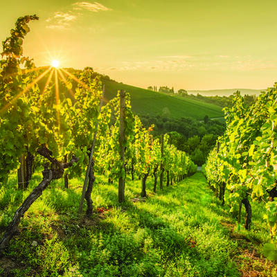 Rhône-Alpes : Tour du Beaujolais