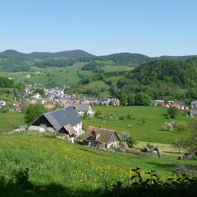 Trek - Vosges - Alsace : Traversée des Hautes-Vosges