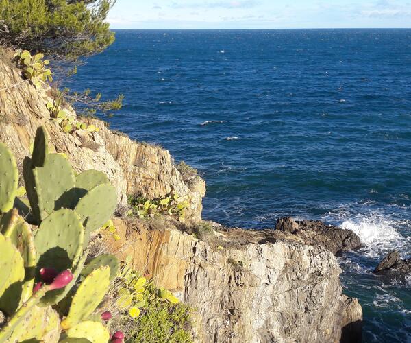Espagne : La Côte Vermeille de Collioure à Cadaqués