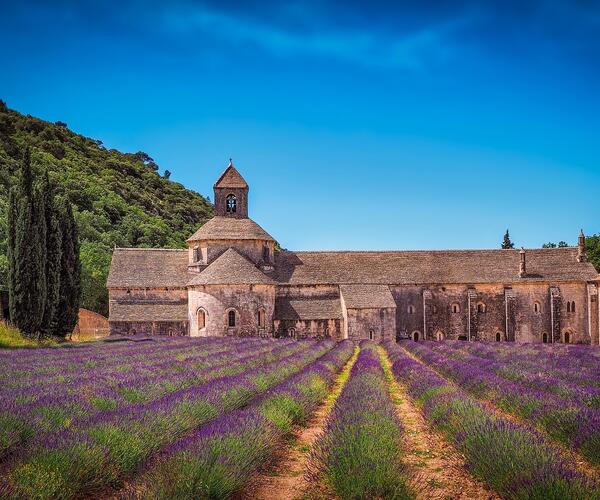 Luberon : Senteurs de Provence