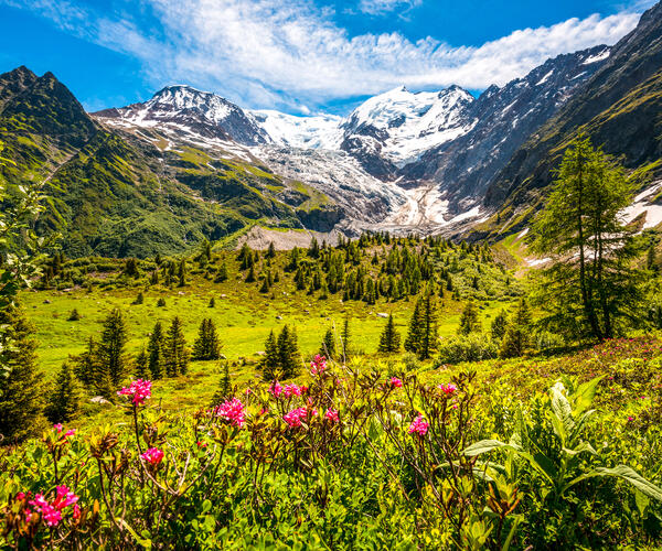 Alpes : Le Mont Blanc en liberté