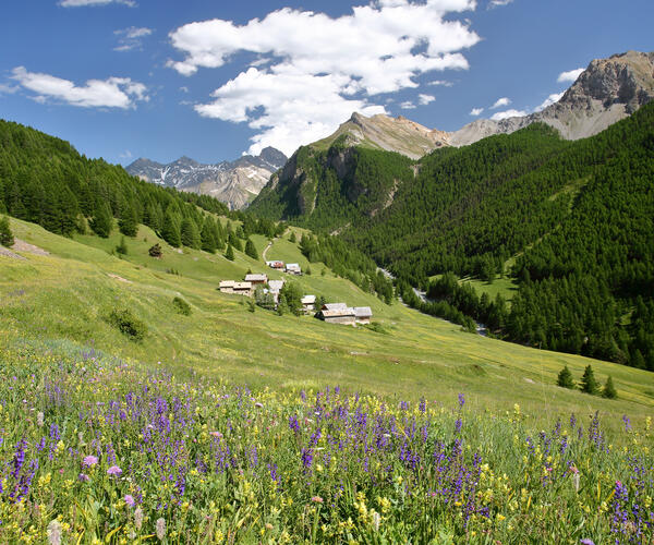 Hautes Alpes : Le Queyras