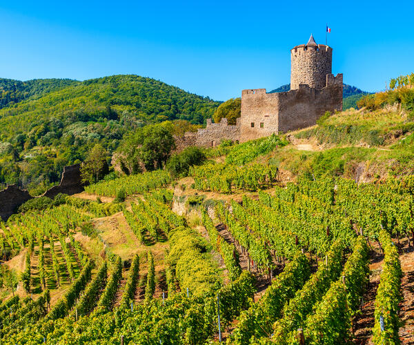 Alsace et Hautes-Vosges