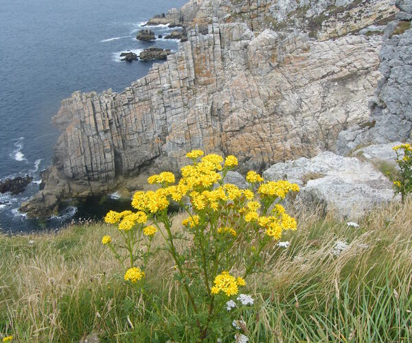 Bretagne : La presqu&#039;île de Crozon et Ouessant