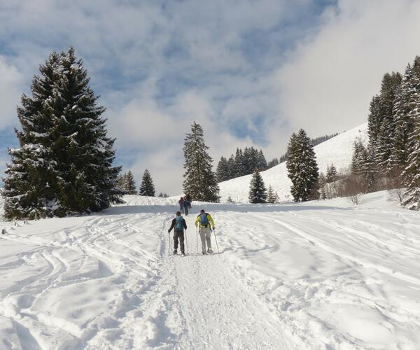 Week-end raquettes en Ardèche en accompagné