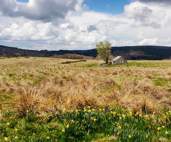 Le Puy-en-Velay - Conques