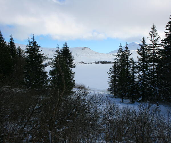 Auvergne : Le Sud du Sancy en Raquettes