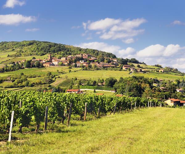 Rhône-Alpes : Tour du Beaujolais