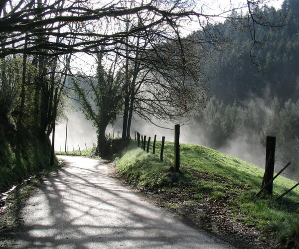 Rhône-Alpes : Tour du Beaujolais