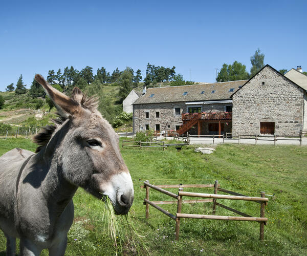 Lozère : Au cœur du Gévaudan entre Aubrac et Margeride