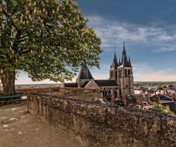 Châteaux de la Loire : Amboise - Azay le Rideau