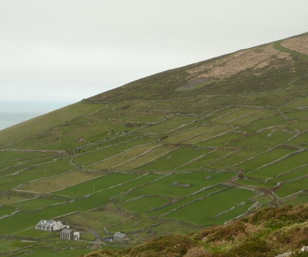 Irlande : Le Dingle Way