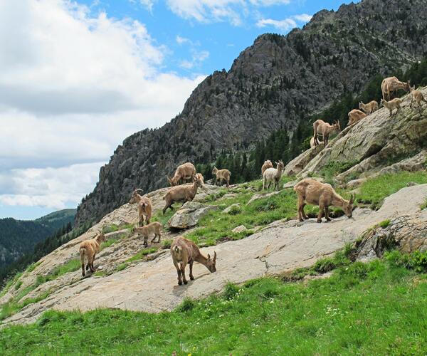 Alpes : Le Mercantour Histoires et légendes de la Vallée des Merveilles