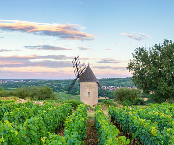 Bourgogne Grand Cru