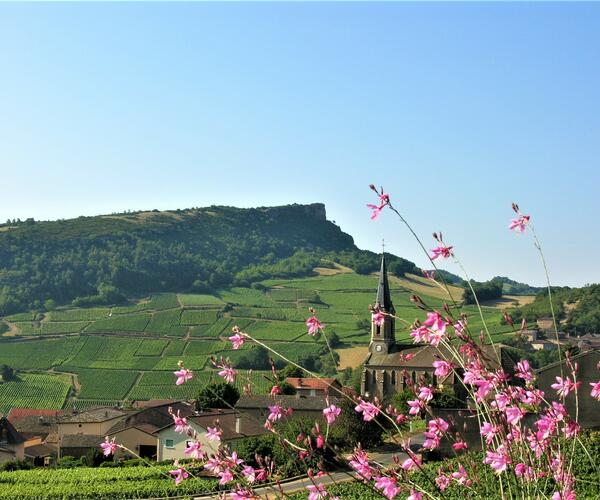 Bourgogne du Sud